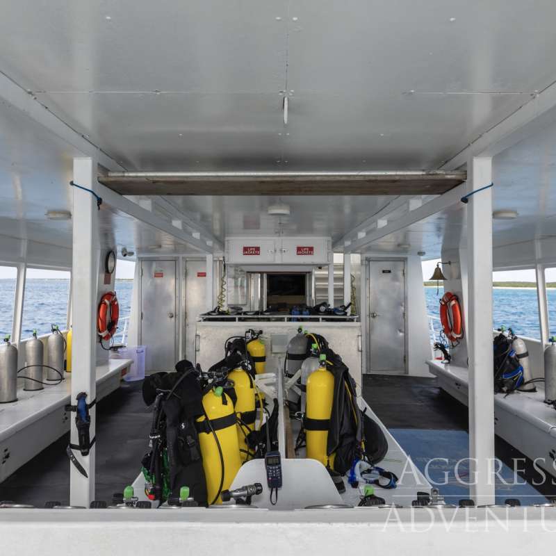 Turks and Caicos Aggressor 2