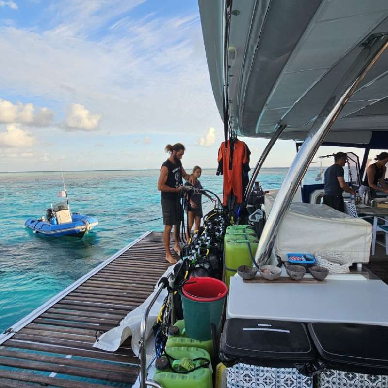 Aqua Tiki 3