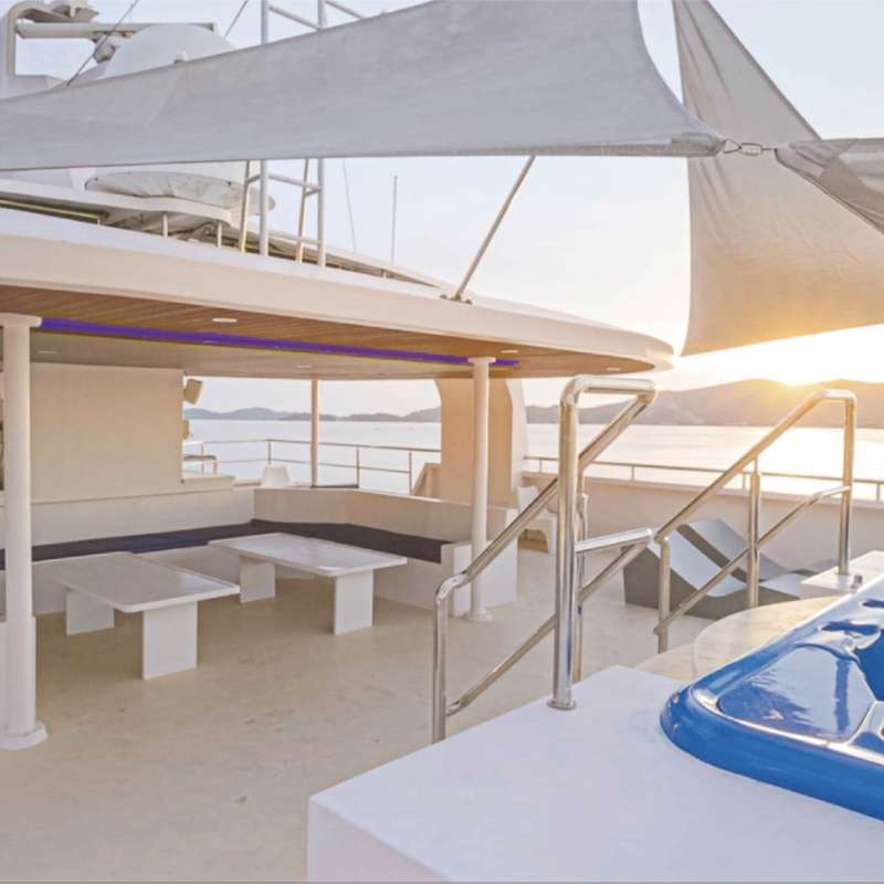 Aruna Voyager