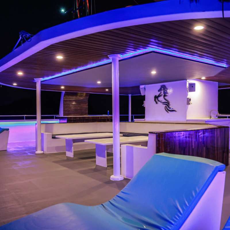 Aruna Voyager