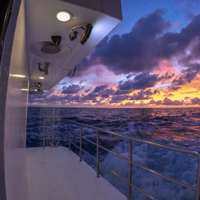 Aruna Voyager