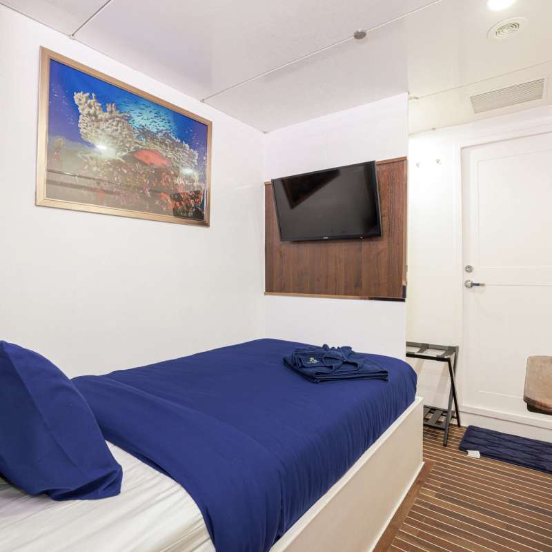 Aruna Voyager