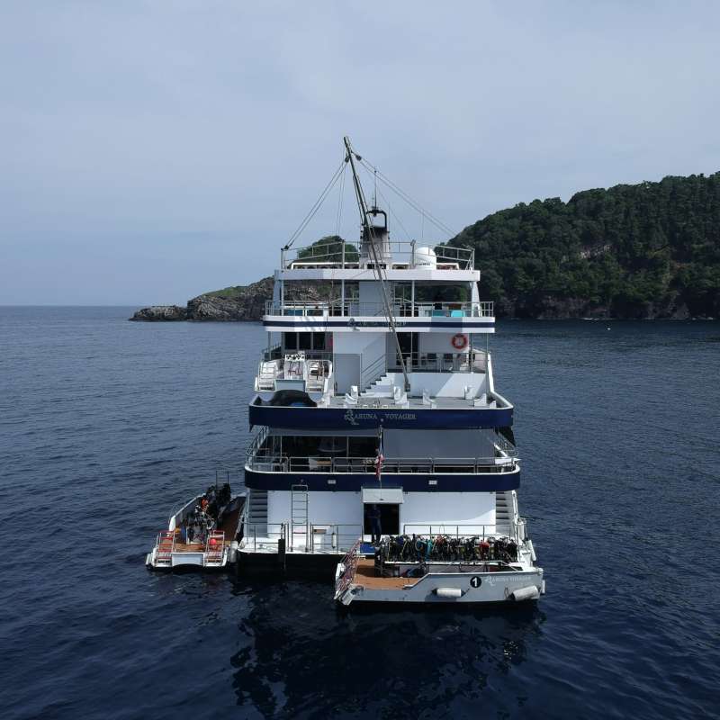 Aruna Voyager