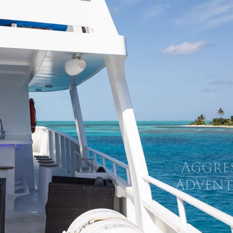 Belize Aggressor 3