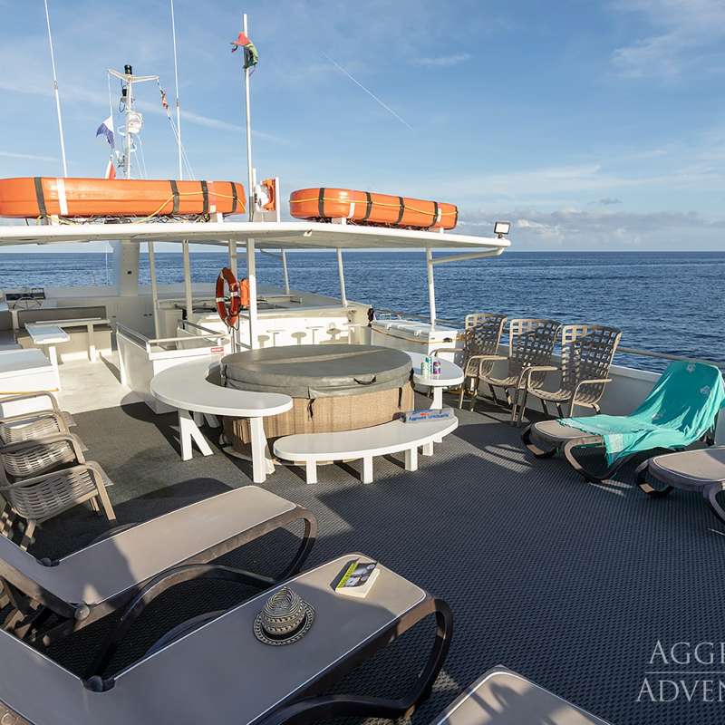 Belize Aggressor 5