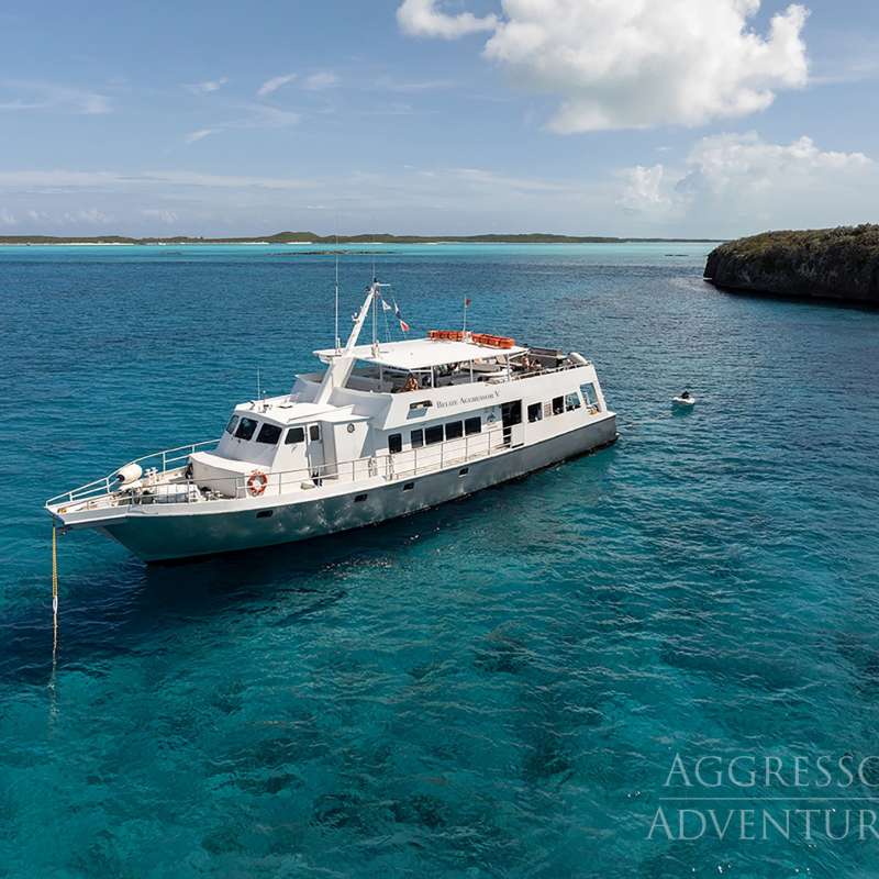 Belize Aggressor 5