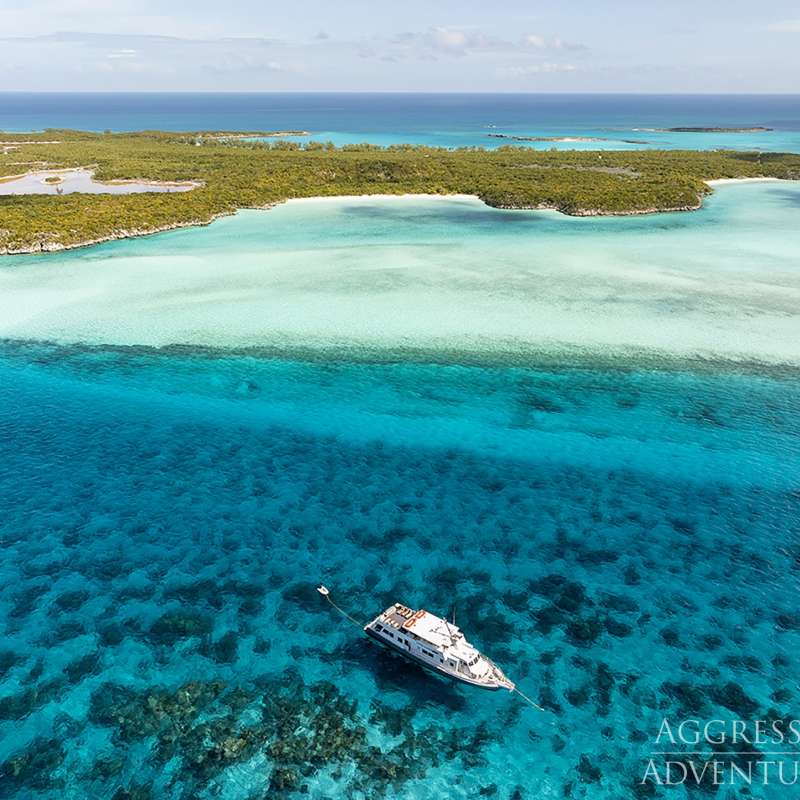 Belize Aggressor 5