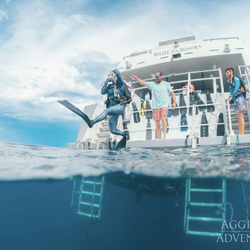 Belize Aggressor 5
