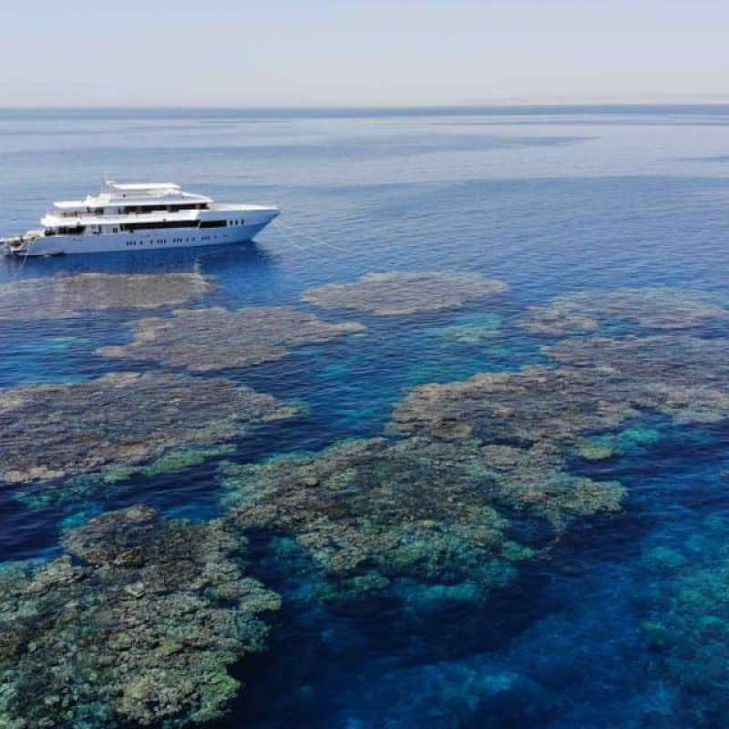 Blue Seas