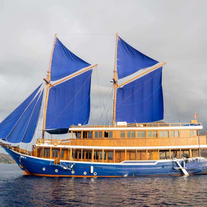 Cajoma 5
