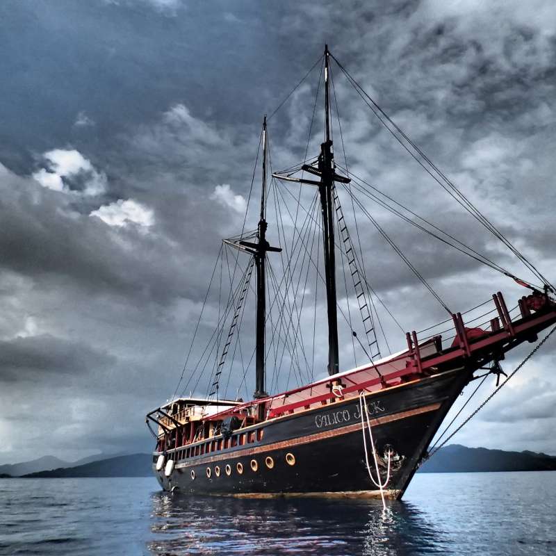 Calico Jack