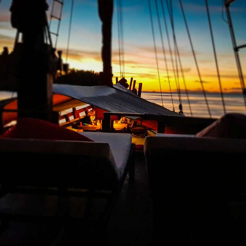 Calico Jack