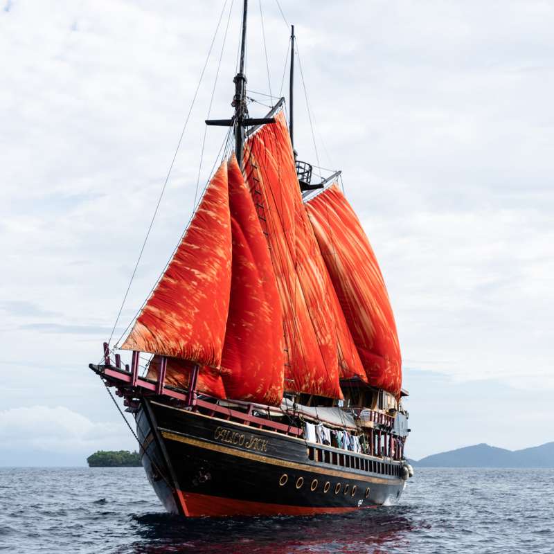 Calico Jack