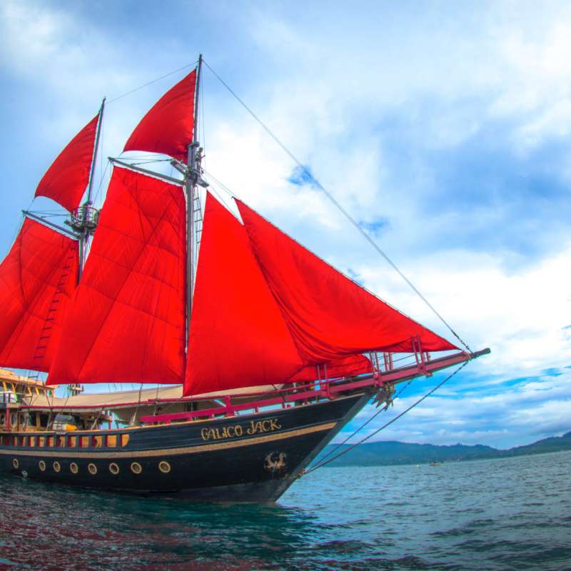 Calico Jack