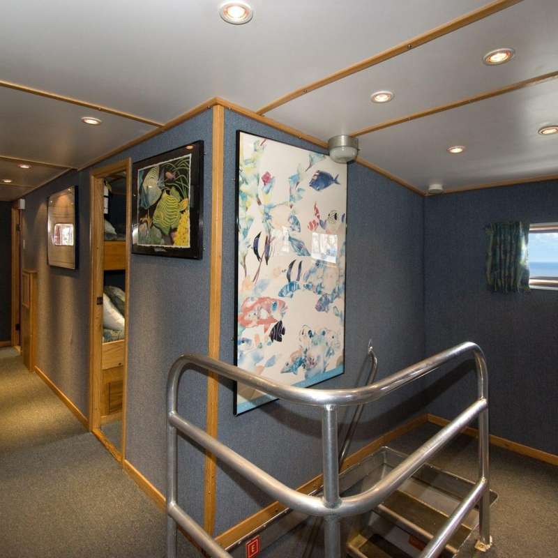 Caribbean Explorer 2