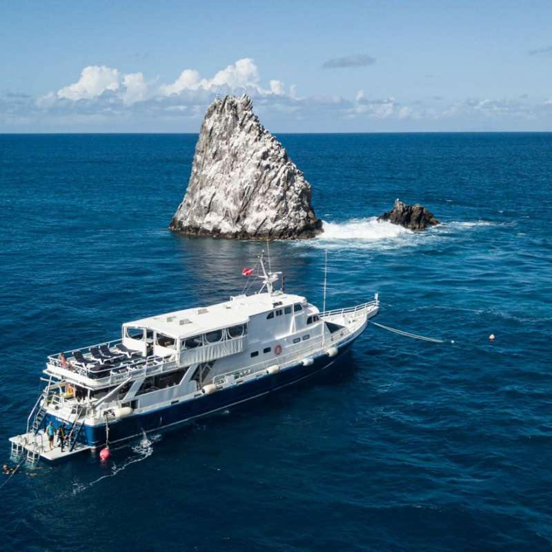 Caribbean Explorer 2