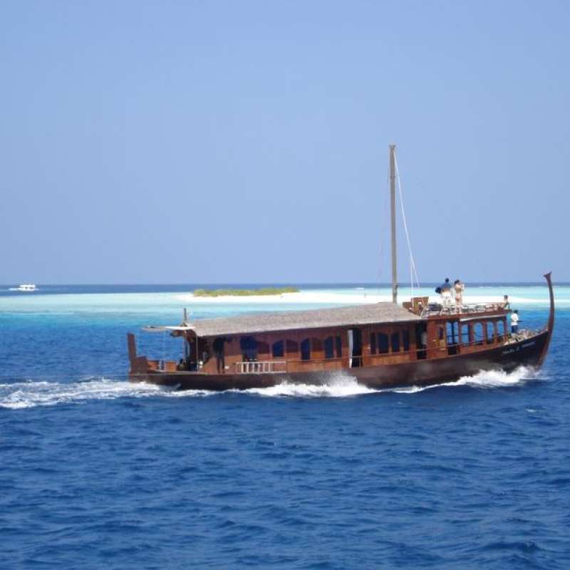Dhoni Stella 2