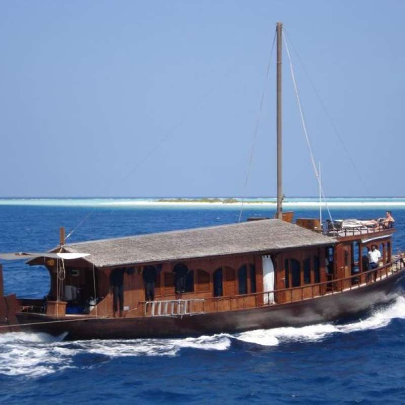 Dhoni Stella 2