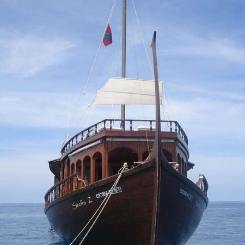 Dhoni Stella 2