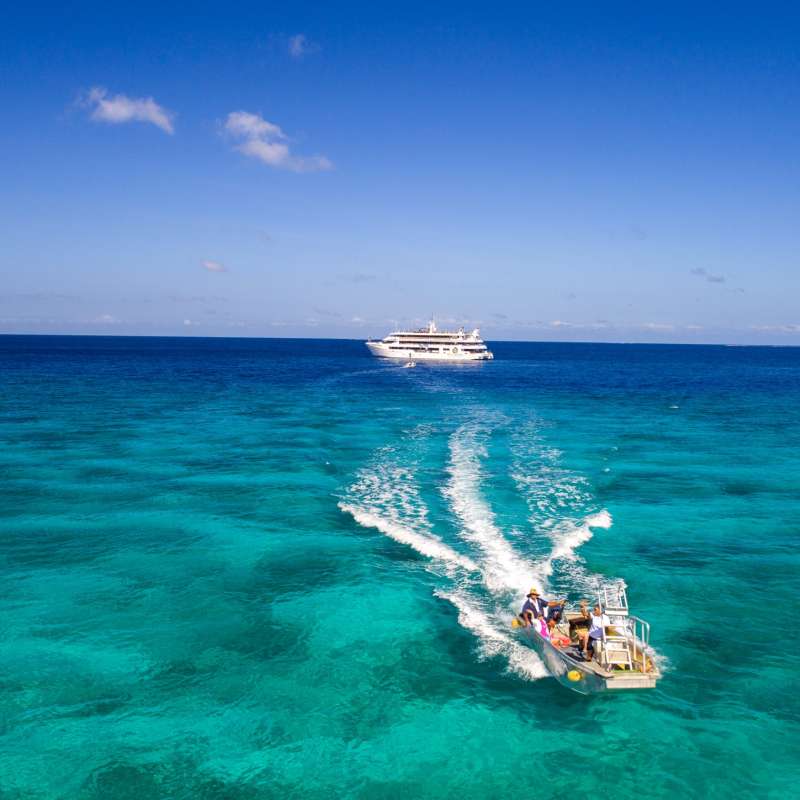 Fiji Princess