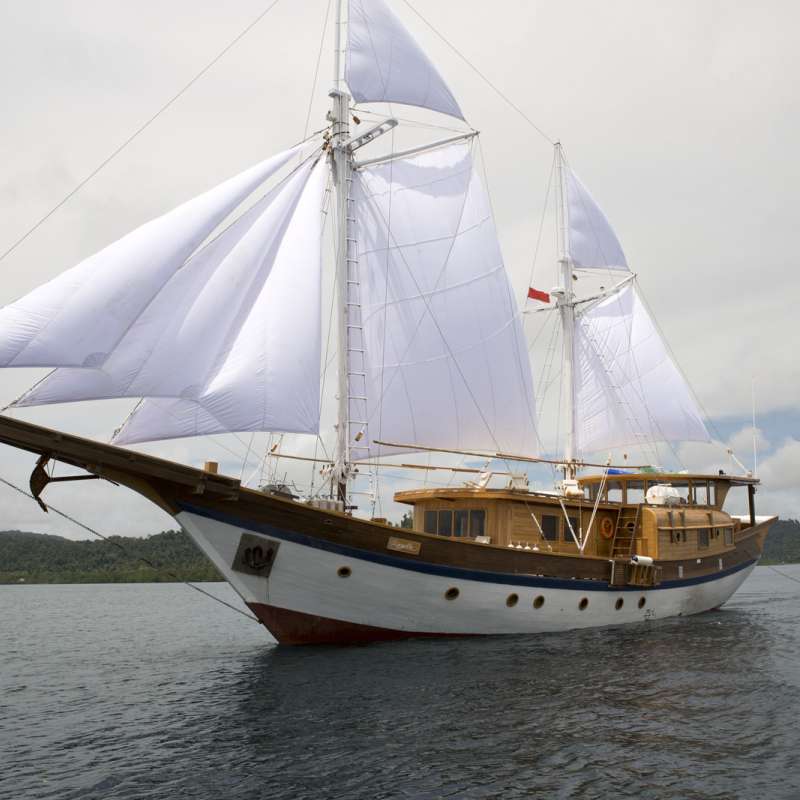 Jakaré