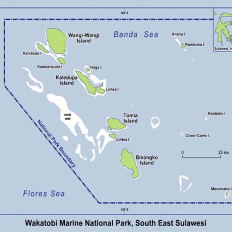 Jakaré