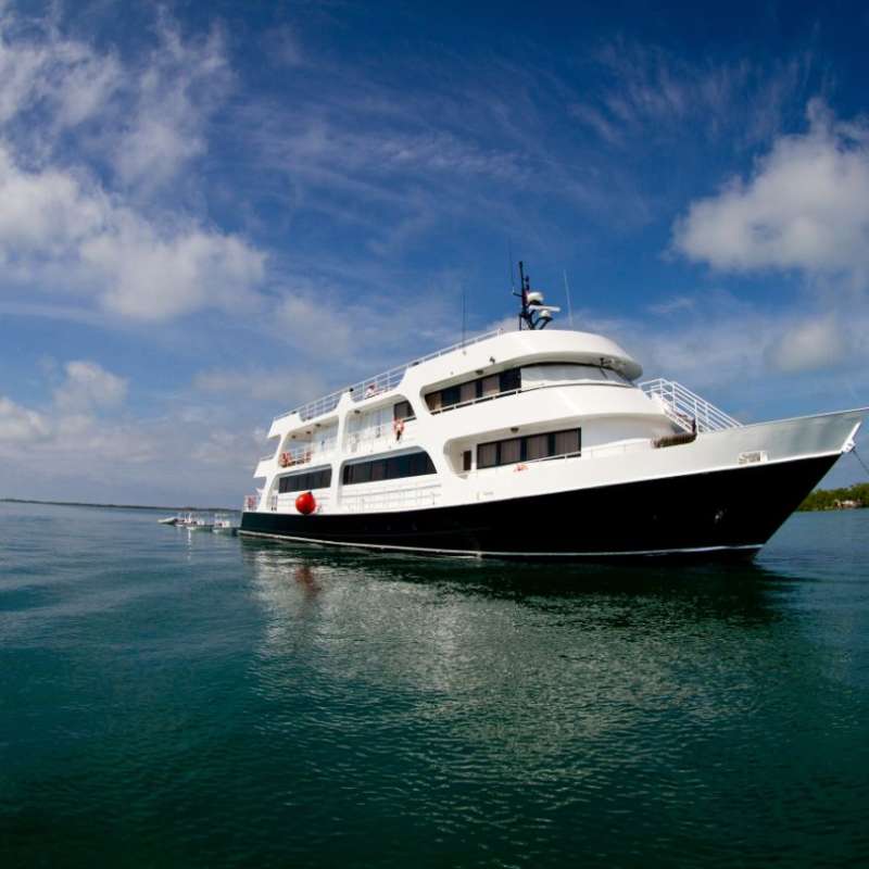 Jardines Avalon F2