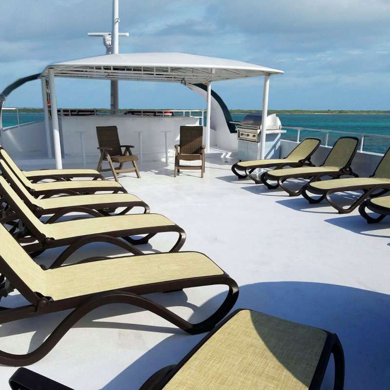 Jardines Avalon 2