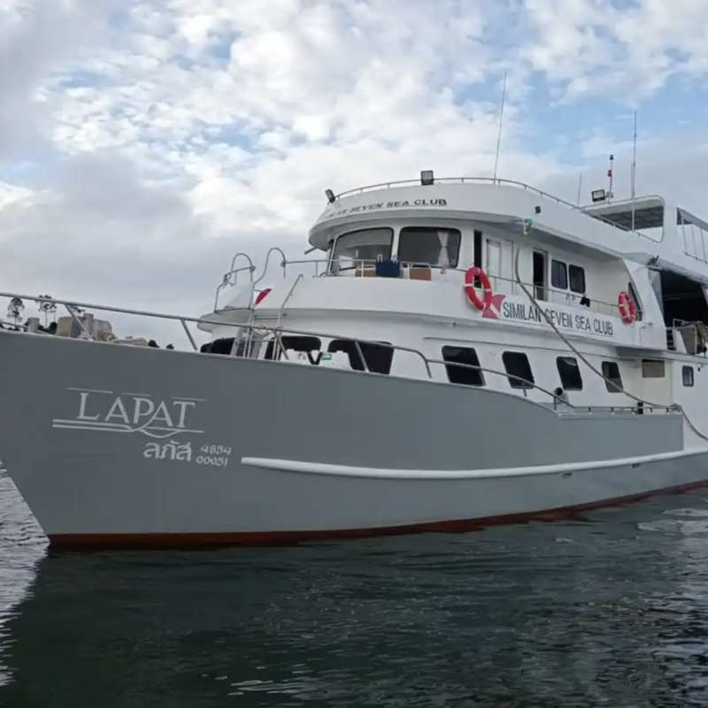 Lapat