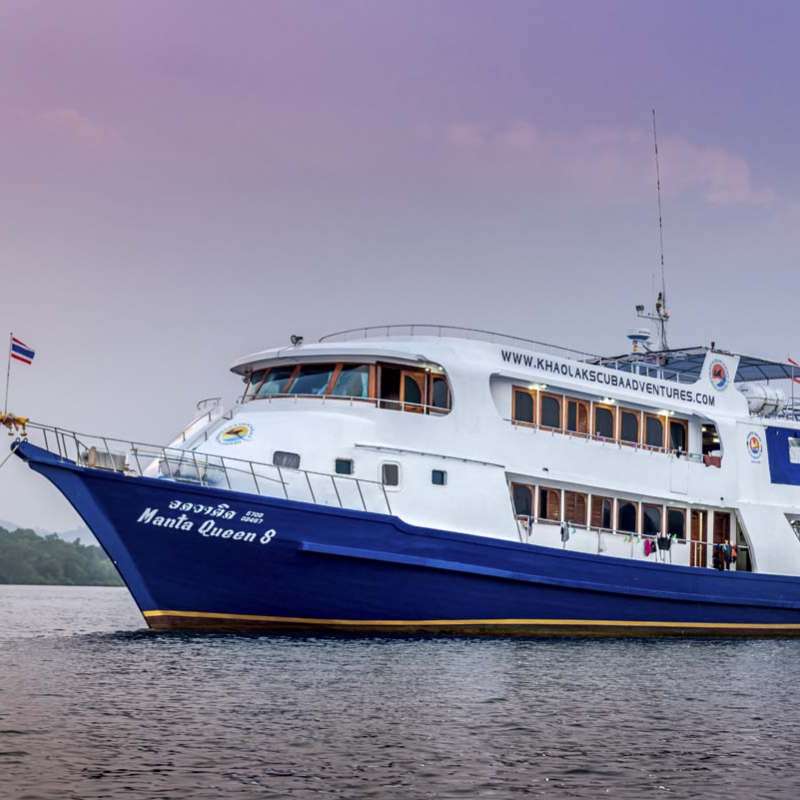 Manta Queen 8