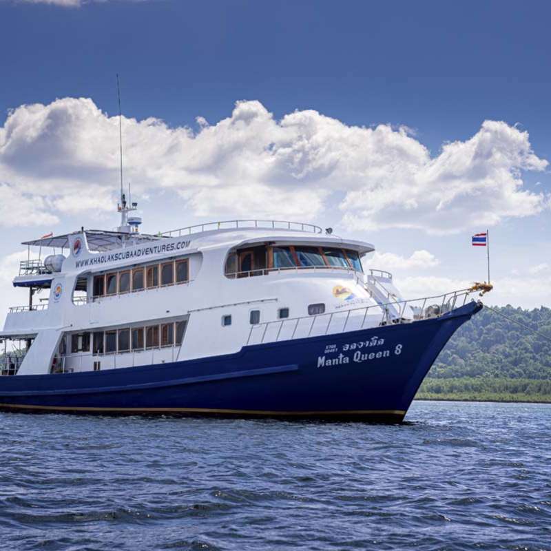 Manta Queen 8