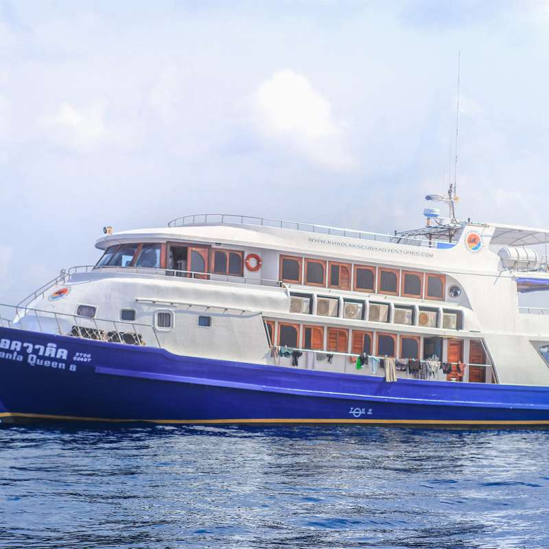 Manta Queen 8