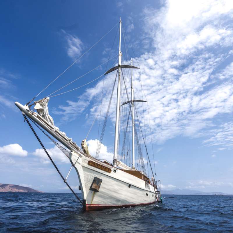 Mutiara Laut