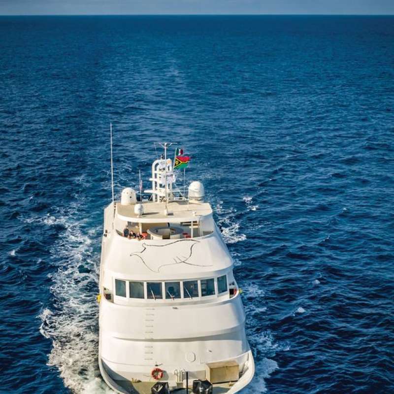 Nautilus Belle Amie Nautilus Belle Amie