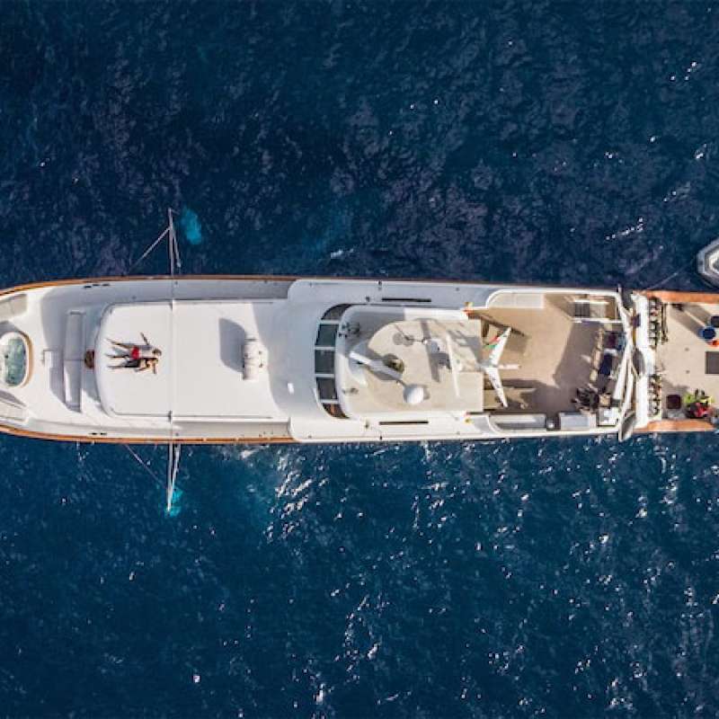 Nautilus Gallant Lady