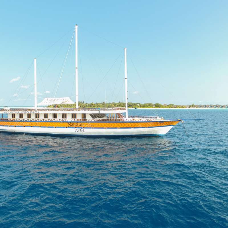 Nautilus Two