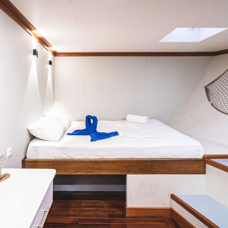 Nautilus Two