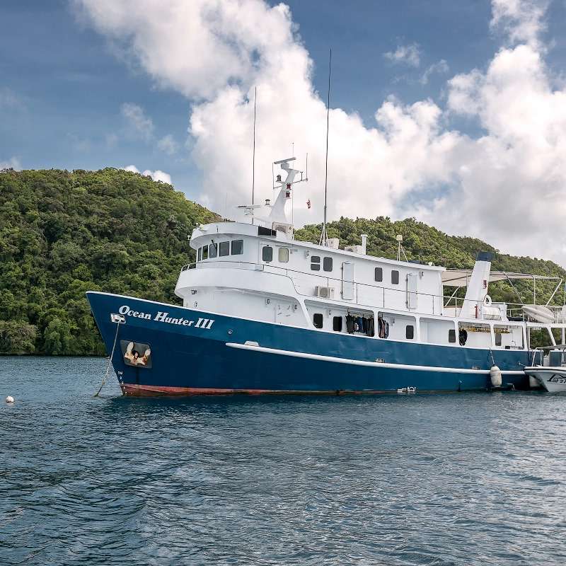 Ocean Hunter 3