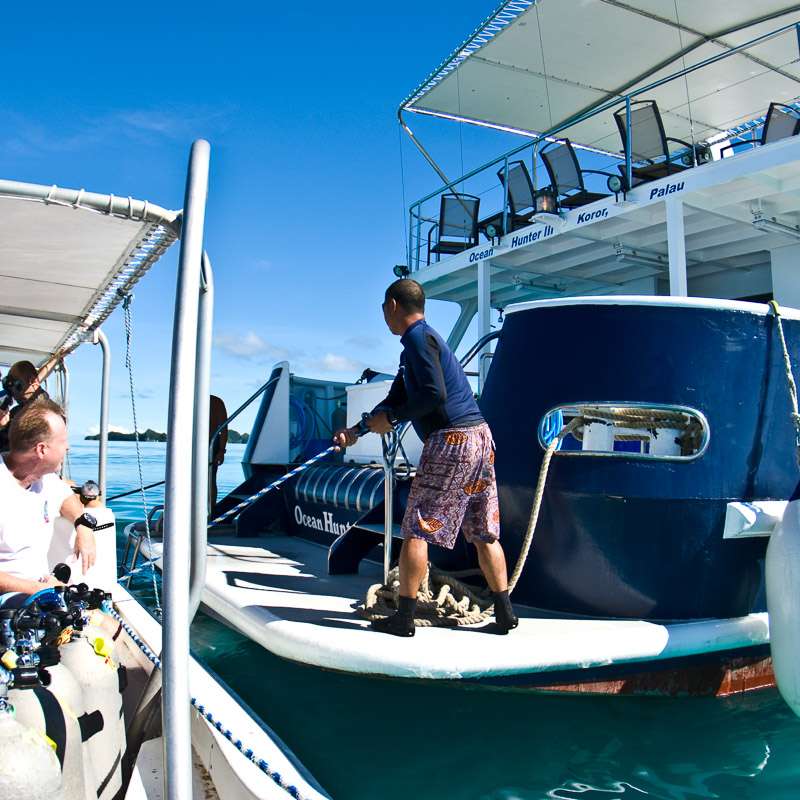 Ocean Hunter 3