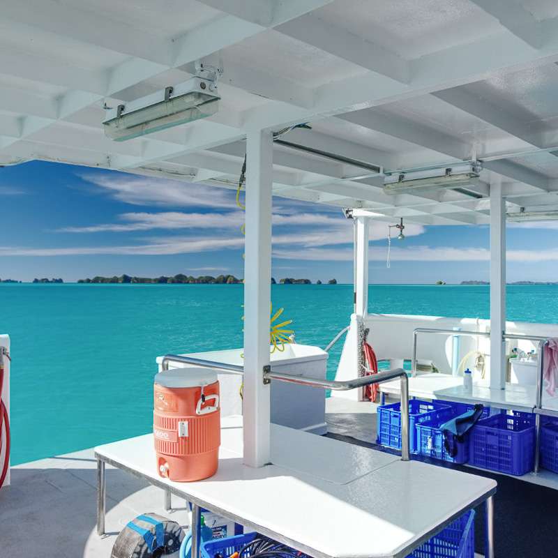 Ocean Hunter 3