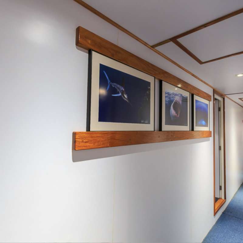 Ocean Hunter 3