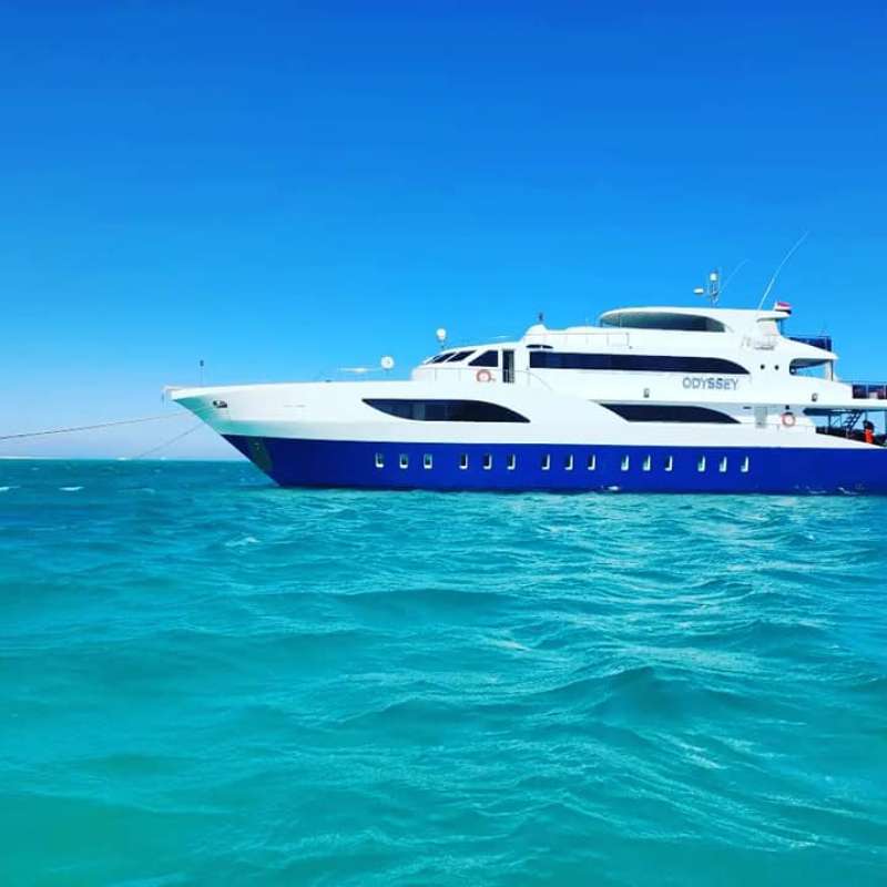 Odyssey Red Sea
