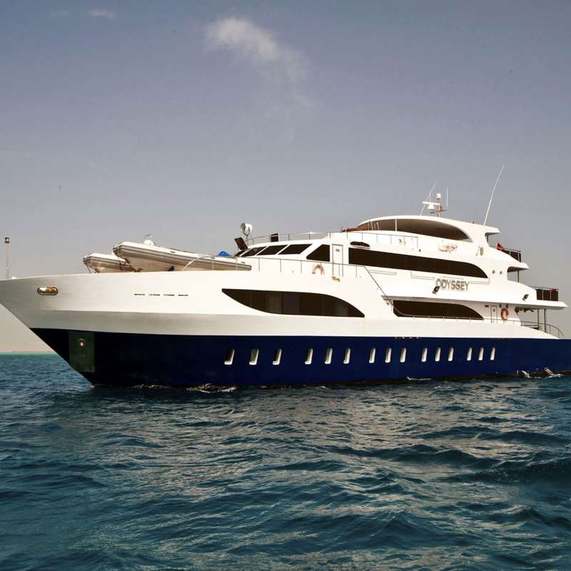 Odyssey Red Sea