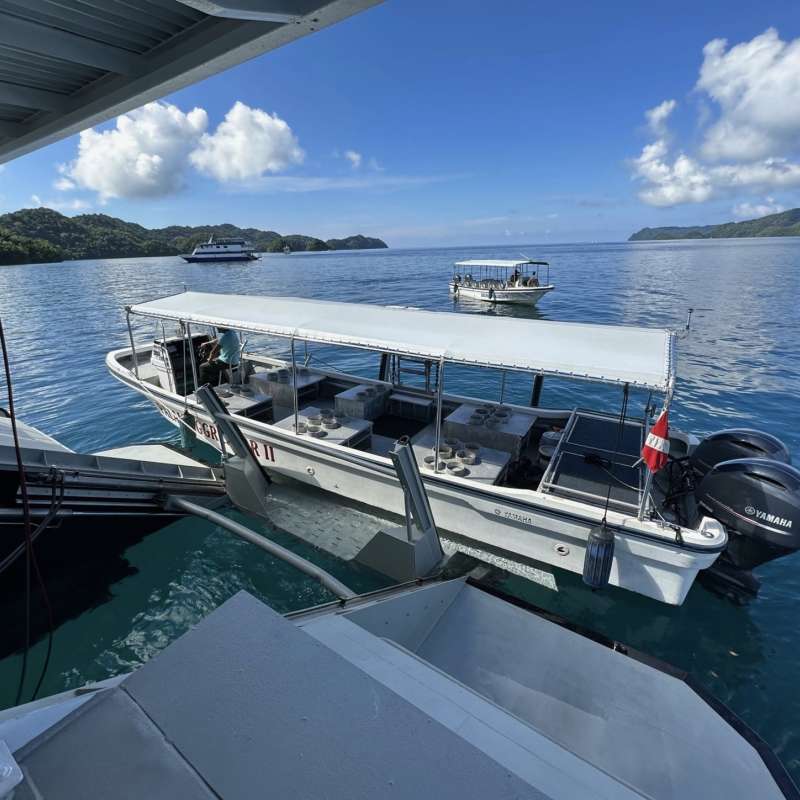 Palau Aggressor 2