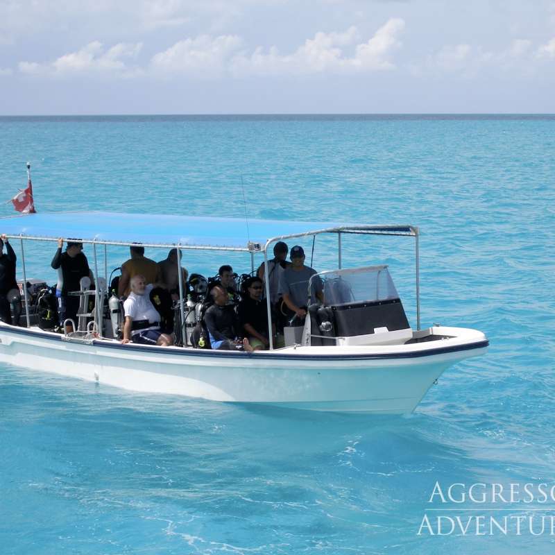 Palau Aggressor 2