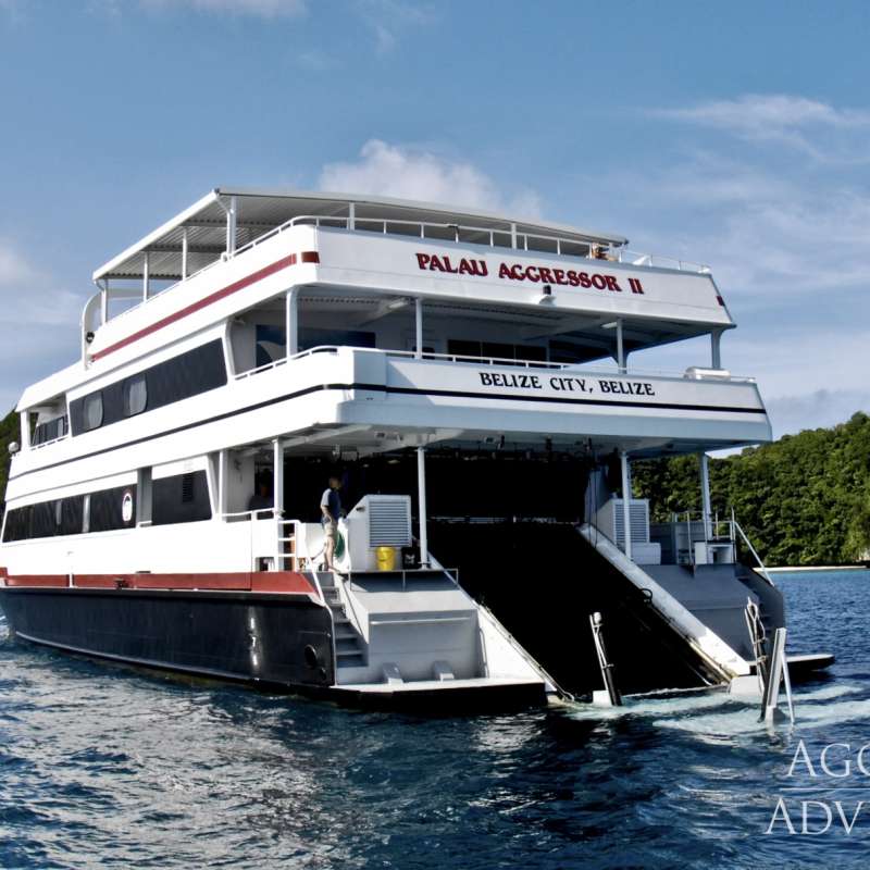Palau Aggressor 2