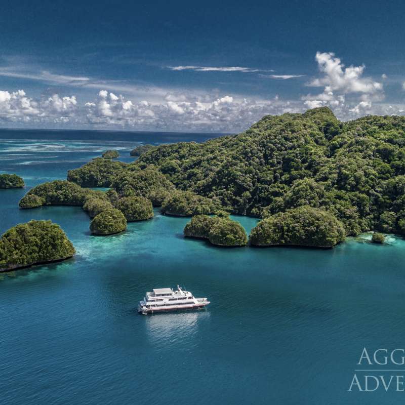 Palau Aggressor 2