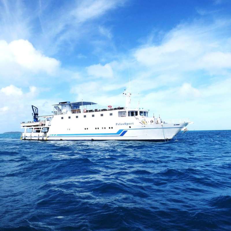 PalauSport