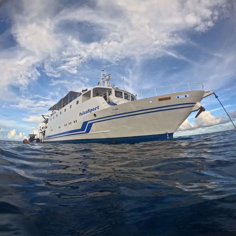 PalauSport