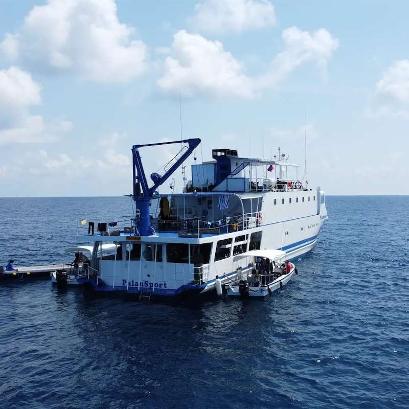 PalauSport